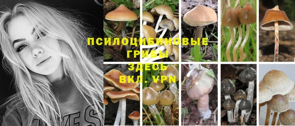 твердый Горно-Алтайск