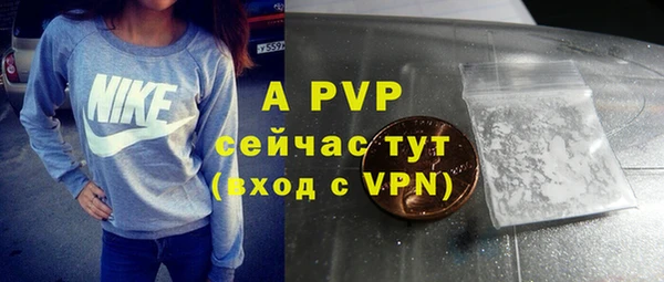 spice Горнозаводск